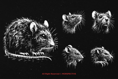 10 Bundle Dark Art Rat Mouse Horror Animal Beast Scary Product Image 5