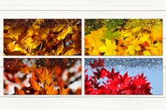 Oil paint Autumn leaves | Sublimation Mug design bundle, JPG Product Image 3