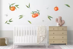 WATERCOLOR mandarin & orange, tangerine, clipart Product Image 3