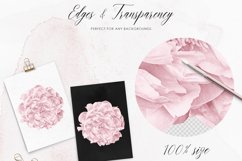 Pink Peonies Clipart, Peony Clipart Set Product Image 3