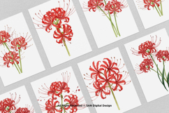 15 Bundle Watercolor Spider Lily Flower Higanbana Autumn Product Image 3