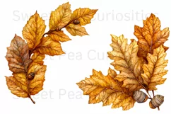 Fall, Autumn, Leaves, Ephemera, PNG, watercolor, Clipart Product Image 3