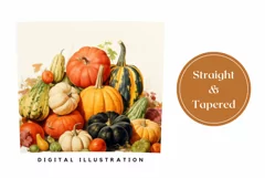 Watercolor Pumpkins Sublimation PNG, Pumpkins Tumbler Design Product Image 3