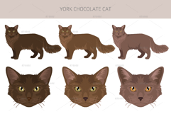 York Chocolate cat clip art Product Image 2