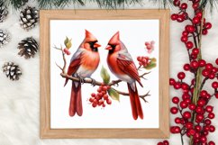 Christmas Cardinal Watercolor Clipart, Christmas Cardinal Product Image 3
