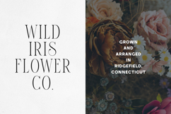 Elantrae &amp; Velto Modern Font Duo Product Image 3