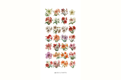 Retro Vintage Amaryllis Clipart Product Image 3