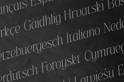 PureMotif Elegant Cursive Serif Font Product Image 3