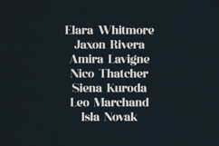 Averique Elegant Modern Serif Font Product Image 3
