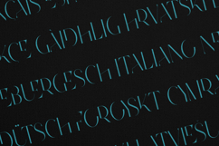 Future Flow Modern Elegant Display Serif Font Product Image 3