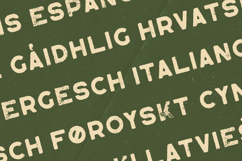 Lagom Vintage Distressed Display Font Product Image 3