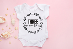 Baby Month Round SVG Bundle Product Image 4