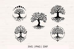 Tree of Life SVG Bundle | 10 Hand Drawn Tree Designs Product Image 3