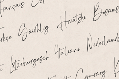 Madeira Elegant Signature Script Font Product Image 3