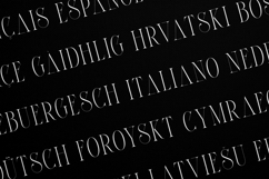 Thorn Tale Elegant Modern Serif Display Font Product Image 3