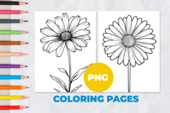 Chamomile flower Coloring Pages | Coloring book Product Image 1