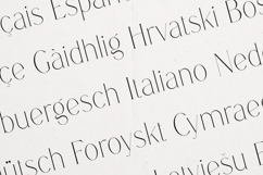 Ruminate Elegant Modern Serif Font Product Image 3