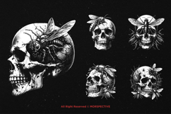 10 Bundle Dark Art Skull Insect Animal Bug Beetle Fly Wasp Product Image 5