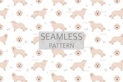 Slovak Cuvac clipart Product Image 3