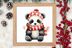 Panda Christmas Sublimation Clipart, Panda Christmas Clipart Product Image 3
