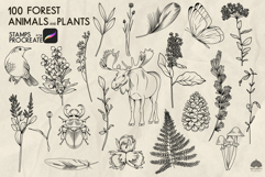 Forest Life Procreate stamp brushes Product Image 3