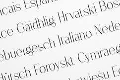 Stolen Love Elegant Modern Serif Font Product Image 3