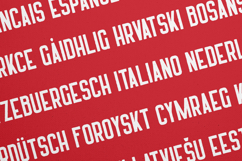 Harrison Organic Bold Display Font Product Image 3