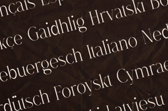 Dree Elegant Modern Serif Font Product Image 3