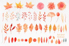 Fall watercolor leaves, Autumn florals elements, Leaves png Product Image 3