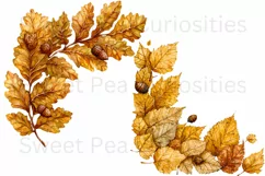 Fall, Autumn, Leaves, Ephemera, PNG, watercolor, Clipart Product Image 3