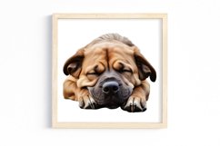 Cute Sleeping Dogs Clipart Product Image 3