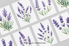 15 Bundle Watercolor Lavender Flower Purple Rustic Vintage Product Image 3