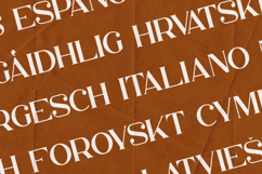 Bungalow Elegant Serif Font Product Image 3