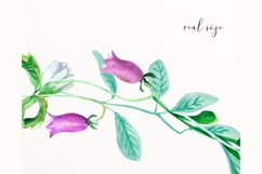 Watercolor wedding frame clipart #w171 Product Image 4