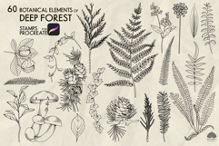 Botanical forest Procreate stamp brushes Product Image 3