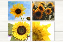 Sublimation Sunflower Straight Skinny tumbler design bundle Product Image 3