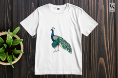Watercolor Peacock Illustration Clipart Sublimation PNG Product Image 2