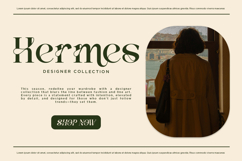 Vanelo - Luxury Serif font Product Image 3