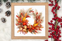 Christmas Cardinal Watercolor Clipart, Christmas Cardinal Product Image 3