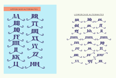 Kind Breakout-Retro Serif Typeface Product Image 2