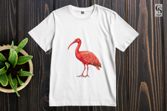 Watercolor Scarlet Ibis Illustration Clipart Sublimation PNG Product Image 3