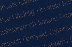 Marka Elegant Serif Font Product Image 3