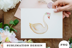 Watercolor White Swan png Product Image 3
