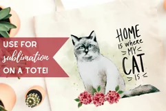 Pretty Kitties Clipart Watercolor Floral Cats Sublimation Product Image 2