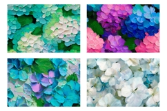 Art Flowers Cosmetic Bag, Hydrangea Cosmetic Bag PNG Product Image 3
