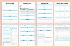 2027 Nursing Student Organizer | Nursing School Planner Product Image 3