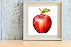 Watercolor Apple Clipart Product Image 3