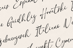 Obviate Script Font Modern Signature Handwritten Product Image 3