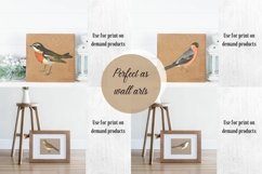 Vintage Birds, Antique Birds Clipart Product Image 3
