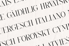 Kindel Elegant Branding Serif Font Product Image 3